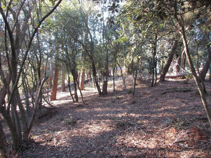 Foto 3b68be60-46cc-469a-ba71-1cc9a0d05dfb. Terrain résidentiel dans El Racó-Sant Feliu del Racó Castellar del Vallès