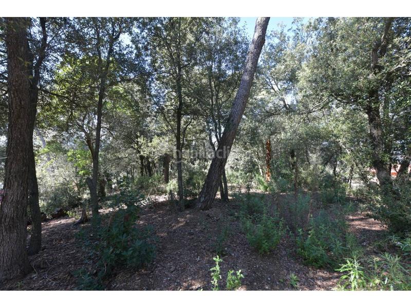 Foto 481e7c54-ad44-4900-843d-92bda77ae814. Terrain résidentiel dans El Racó-Sant Feliu del Racó Castellar del Vallès
