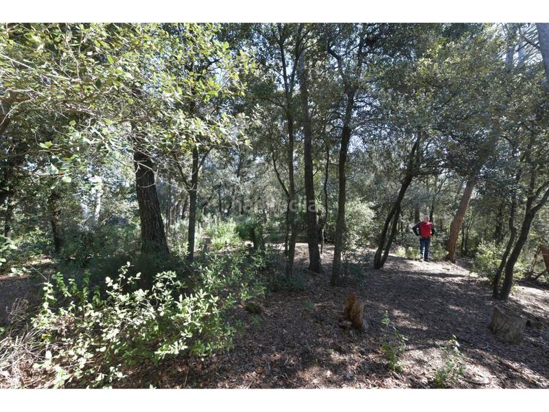 Foto 7aba182a-a908-4968-87ec-e220099b7477. Terrain résidentiel dans El Racó-Sant Feliu del Racó Castellar del Vallès