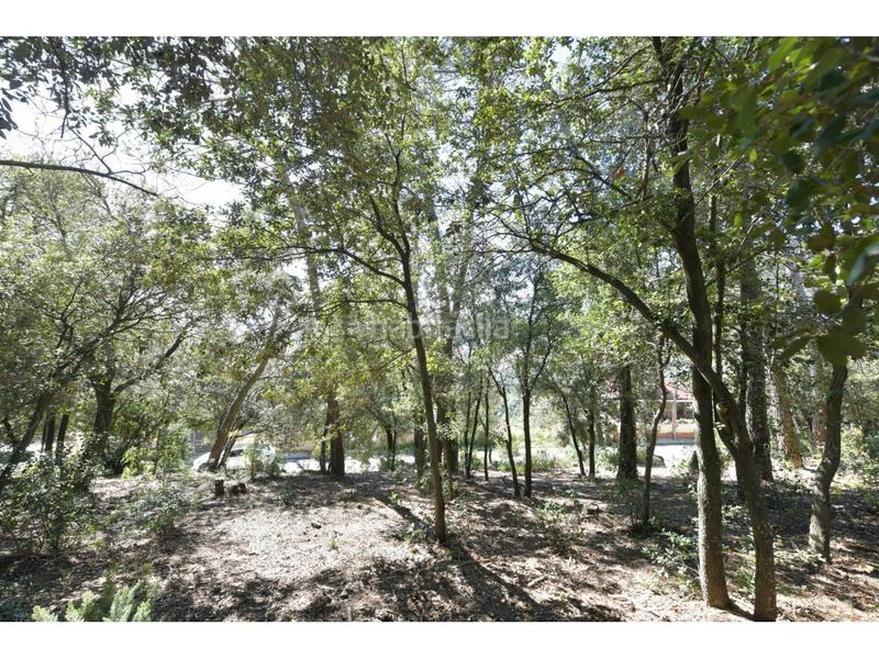 Foto 908bfd9f-aa5c-4b95-8093-41b9e79e4c1d. Terrain résidentiel dans El Racó-Sant Feliu del Racó Castellar del Vallès