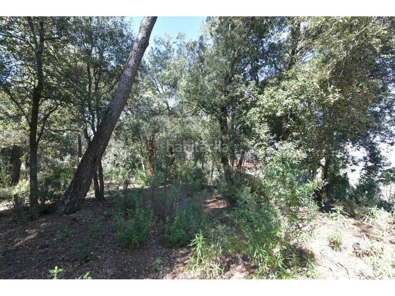 Foto c32ea96d-90a9-4b42-856c-cbf35621b02b. Terrain résidentiel dans El Racó-Sant Feliu del Racó Castellar del Vallès