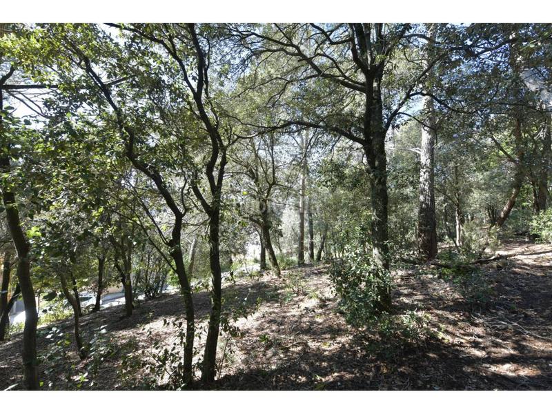 Foto d4231f82-c16d-420d-bcac-144a2e6ac3f0. Terrain résidentiel dans El Racó-Sant Feliu del Racó Castellar del Vallès