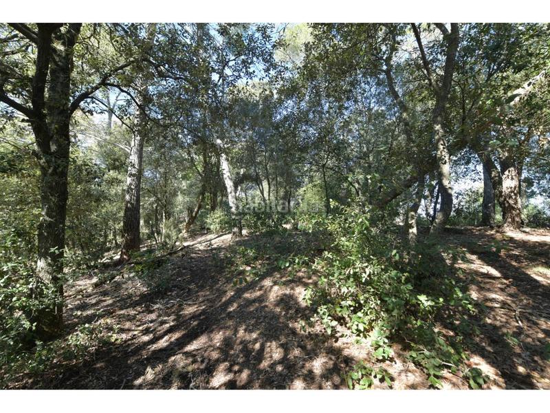 Foto dd398941-3bc4-41c7-a8ce-551e9822cabc. Terrain résidentiel dans El Racó-Sant Feliu del Racó Castellar del Vallès