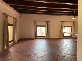 Pis a St. Pere - Sta. Caterina - El Born. Piso tipo loft en paseo del born