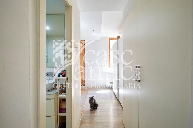 Foto e1abc1f8-8601-45b4-a3b9-00fd7ba966c6. Pis a Raval Barcelona