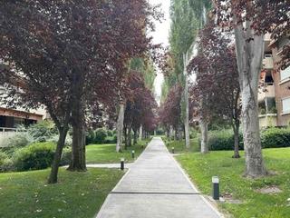 Flat in Calle Solano 33