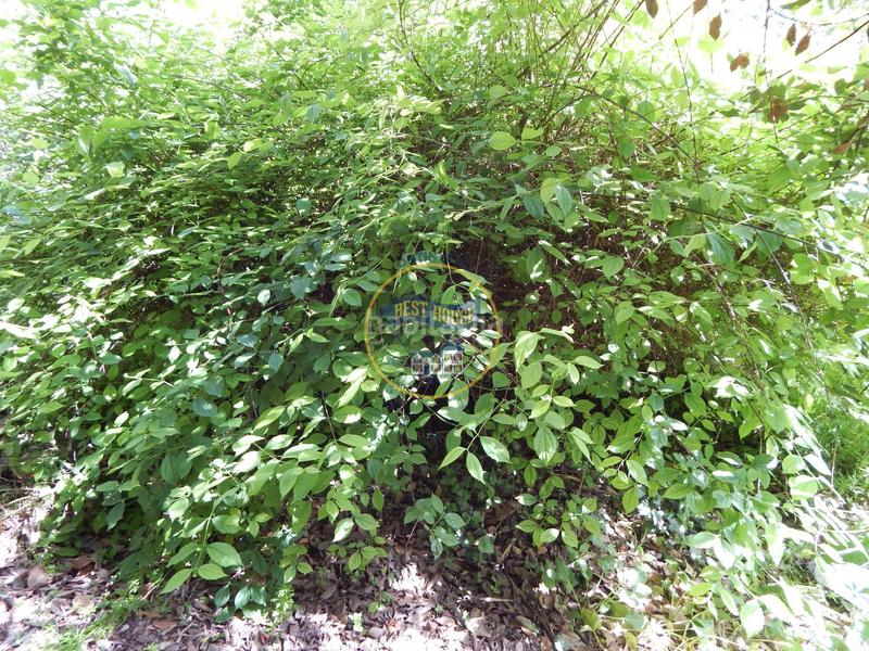 Foto 30bdf8d2-68c0-4ad3-9d16-c62566fafe24. House with parking pool in Bocairent