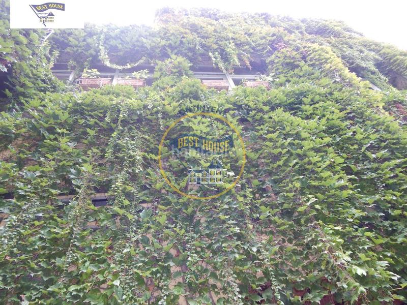 Foto 65ce2dd8-5e12-46d2-98f9-a2b854b65a8c. Chalet casa con terreno !!valencia en El Pilar Ontinyent