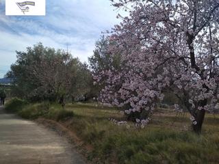 Terreny residencial a Agullent. Oportunidad terreno con refugio en agullentalbaida