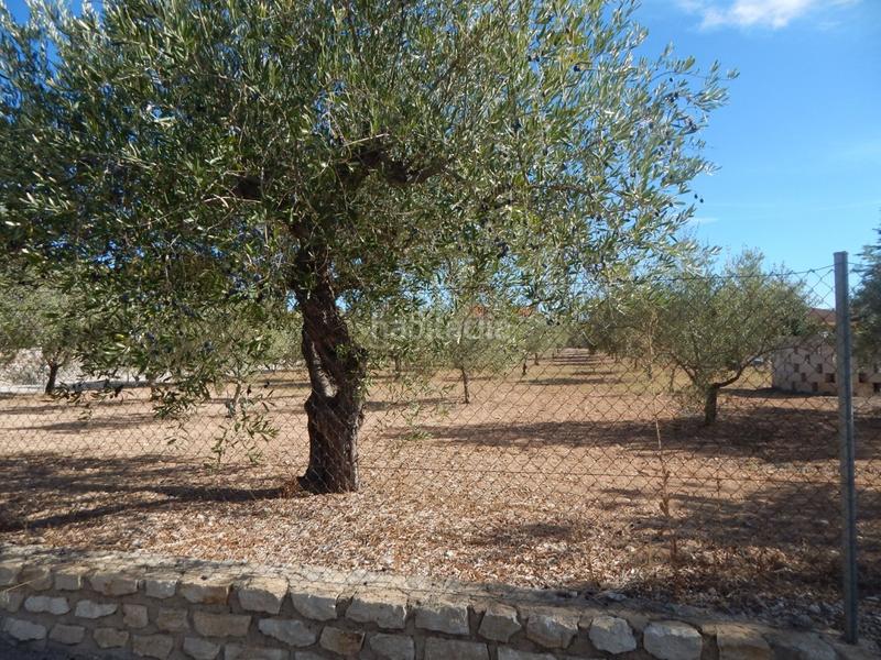 Foto 25f277bc-4527-4f9b-81c5-c75fb6d323ac. Wohngrundstück in Centro Ontinyent