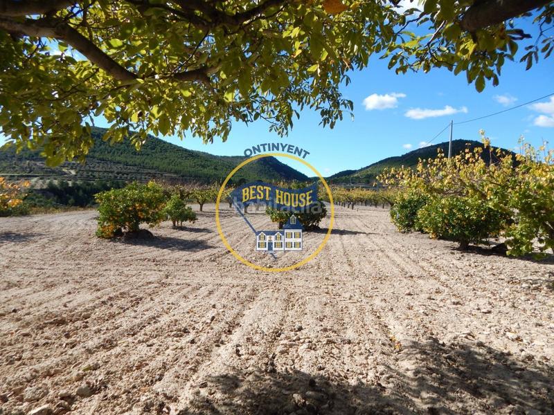 Foto 451afa62-b7fe-42c1-bd64-6d93e2ee4e76. Fondo rustico in Centro Ontinyent