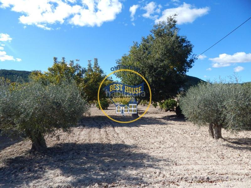 Foto 71af1947-e82d-46e2-ae08-0d91520cbd98. Fondo rustico in Centro Ontinyent