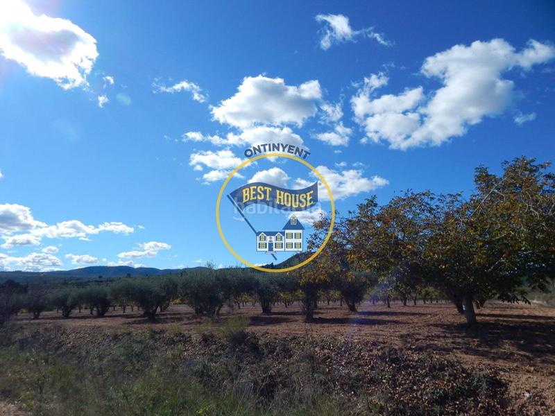 Foto 89272eb4-1f95-4752-9b5f-b294bcad9c38. Fondo rustico in Centro Ontinyent