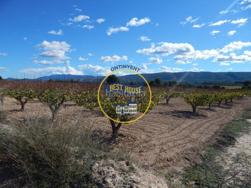 Foto efc4ac7d-f531-47d8-8545-c3b2a7d2e328. Fondo rustico in Centro Ontinyent