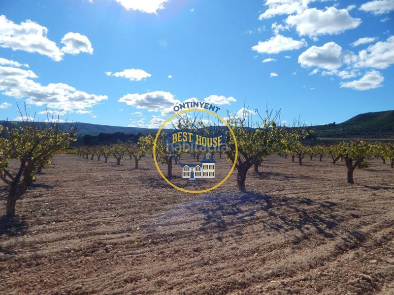 Foto f1a5cd63-52e7-4d7b-bf6a-9e0009d1f591. Fondo rustico in Centro Ontinyent