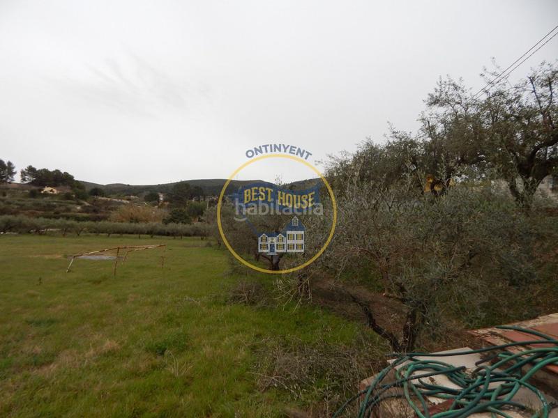 Foto 33fc1846-a8da-47f0-b0eb-8ff4c56edf39. Fondo rustico in Sant Josep-Zona Hospital Ontinyent