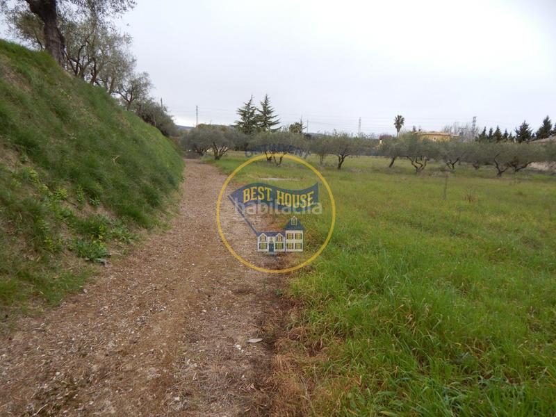 Foto 852a2760-0a99-4607-a77e-83ceaf1d6446. Fondo rustico in Sant Josep-Zona Hospital Ontinyent