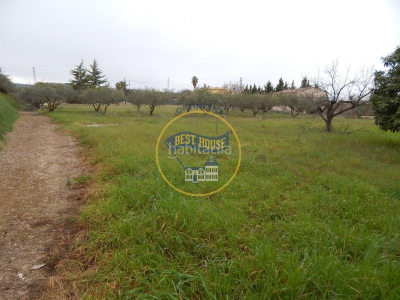 Foto 98478d87-5fd4-4e6a-bce0-b8ca1fde0dc5. Fondo rustico in Sant Josep-Zona Hospital Ontinyent