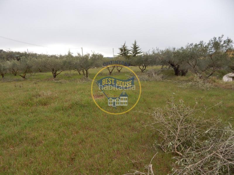 Foto aeb61a2a-2b8a-4339-8386-0e1e954edced. Fondo rustico in Sant Josep-Zona Hospital Ontinyent