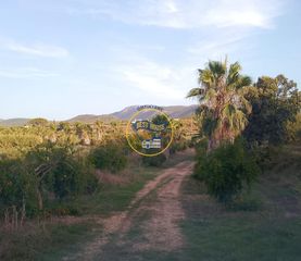 Residential Plot in Agullent. Terreno con posibilidad de construir dos casitas de campo muy ce