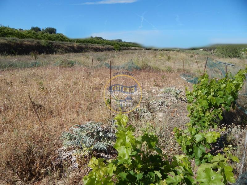 Foto 42930828-151a-4b6f-bcdf-b364055f0fbd. Terreno residencial terreno con refugio en Agullent