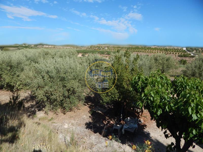 Foto 5515fc03-49e2-4bc0-90c4-0fc841dc920c. Terreno residencial terreno con refugio en Agullent