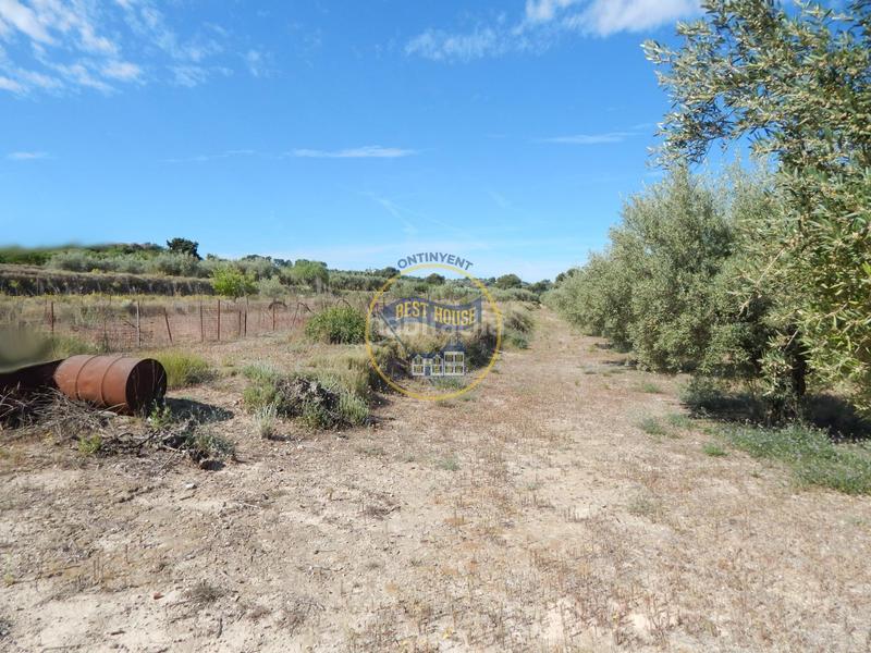 Foto 55bcf09b-0197-4be4-a23c-f5bd671c8cf1. Terreno residencial terreno con refugio en Agullent