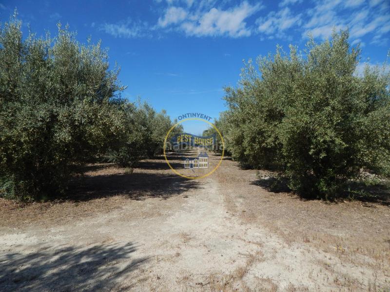 Foto 6d079e18-9c16-4225-b99c-529723beec89. Terreno residencial terreno con refugio en Agullent