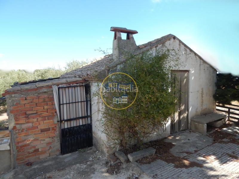 Foto 8cda8821-fd6b-46a5-92b4-c39d6477063a. Terreno residencial terreno con refugio en Agullent