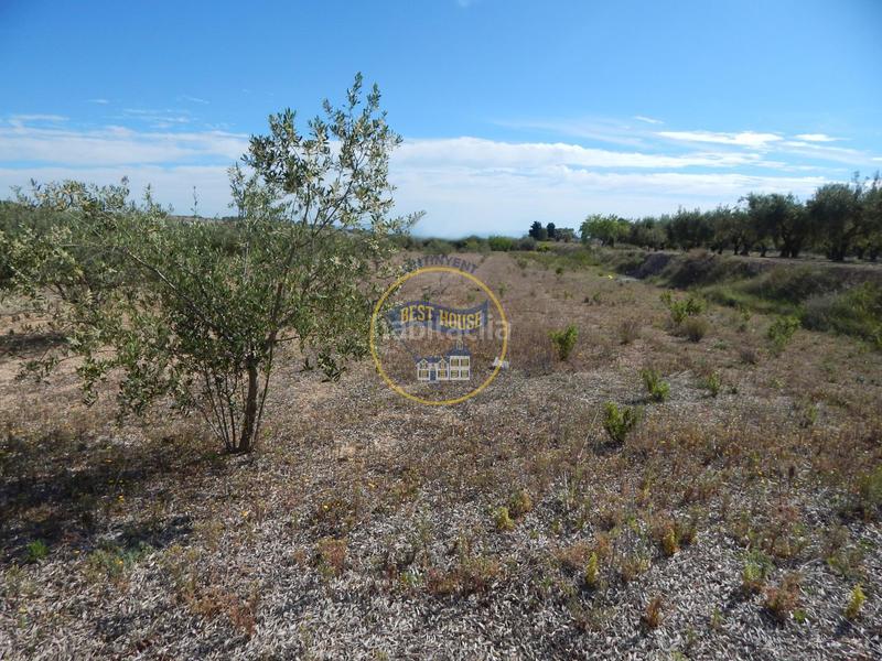 Foto 8e84db92-d5f6-4264-b8fc-cac9c230fd1c. Terreno residencial terreno con refugio en Agullent