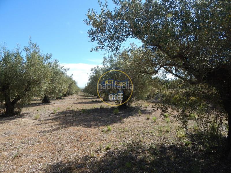 Foto 95aaae82-2372-4762-a776-2eeeaed5d43f. Terreno residencial terreno con refugio en Agullent