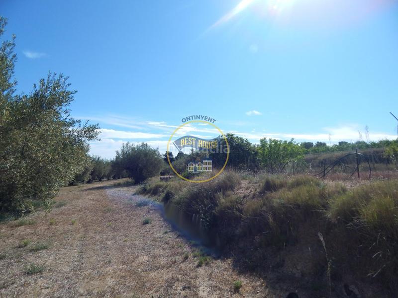 Foto a6b02fd1-6469-4333-8435-48bf0893bd90. Terreno residencial terreno con refugio en Agullent