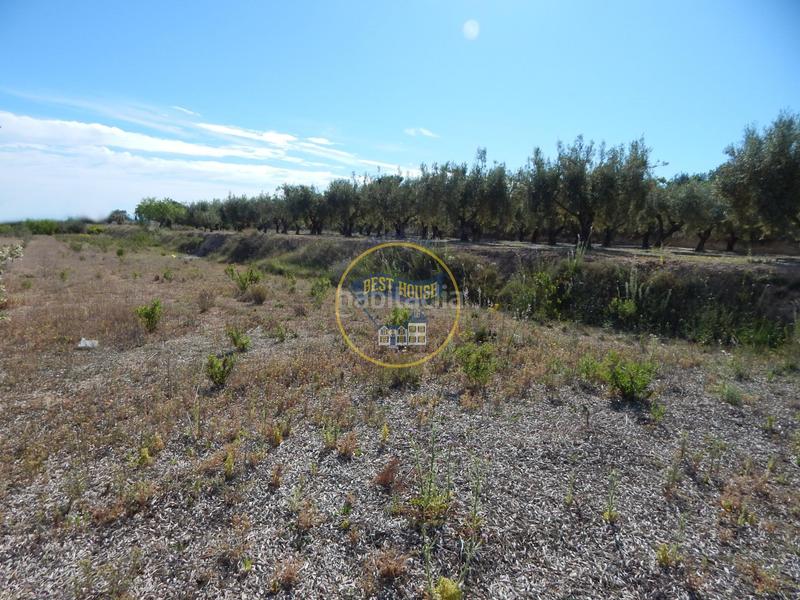 Foto a99a2434-4fd1-4891-af40-3a4524e3bdfa. Terreno residencial terreno con refugio en Agullent