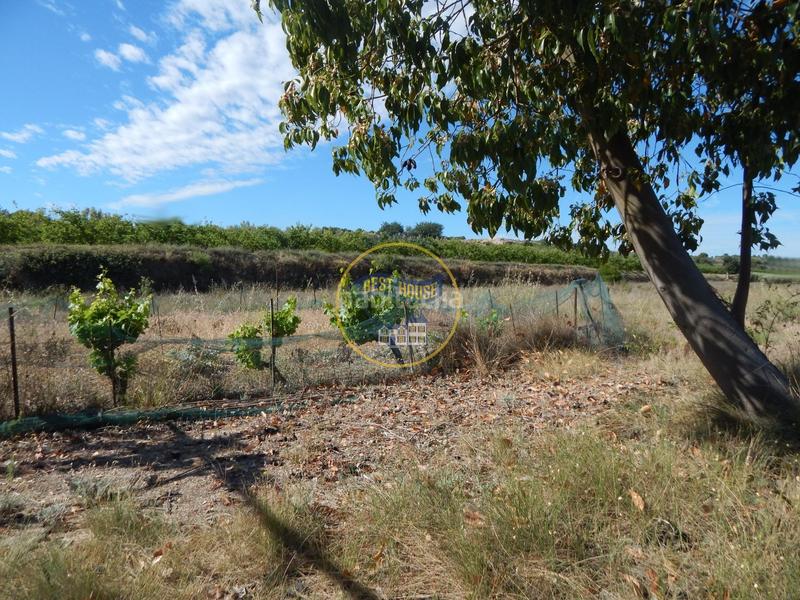 Foto bfa15e5d-4551-4b5d-9da8-b6687e3d3931. Terreno residencial terreno con refugio en Agullent