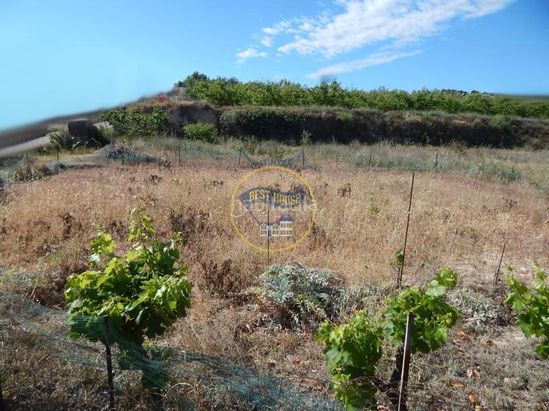 Foto db163d49-0129-4d77-b70c-f5ddc2a33778. Terreno residencial terreno con refugio en Agullent