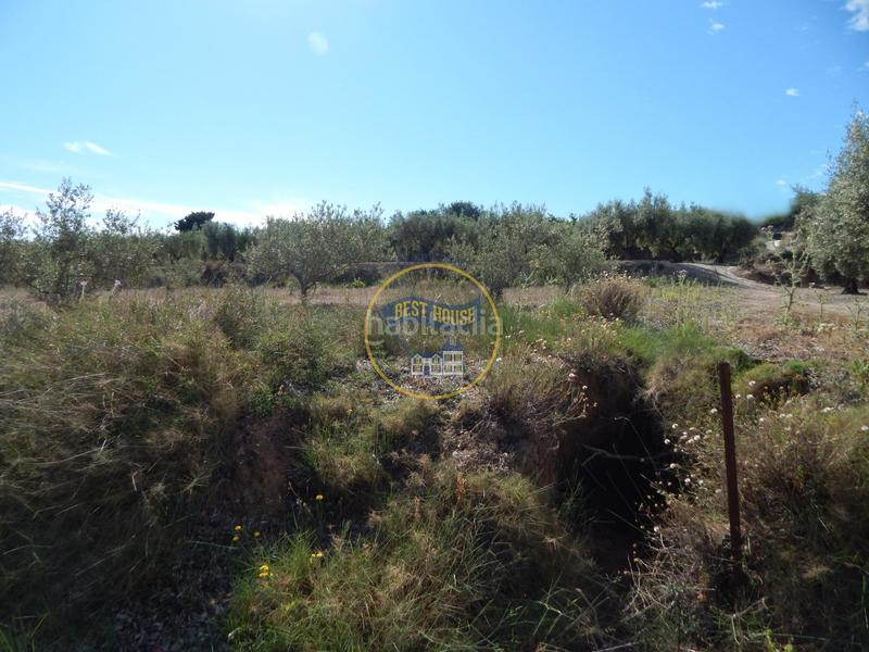 Foto ef26ea60-0ca3-46dc-b463-93c467df8310. Terreno residencial terreno con refugio en Agullent