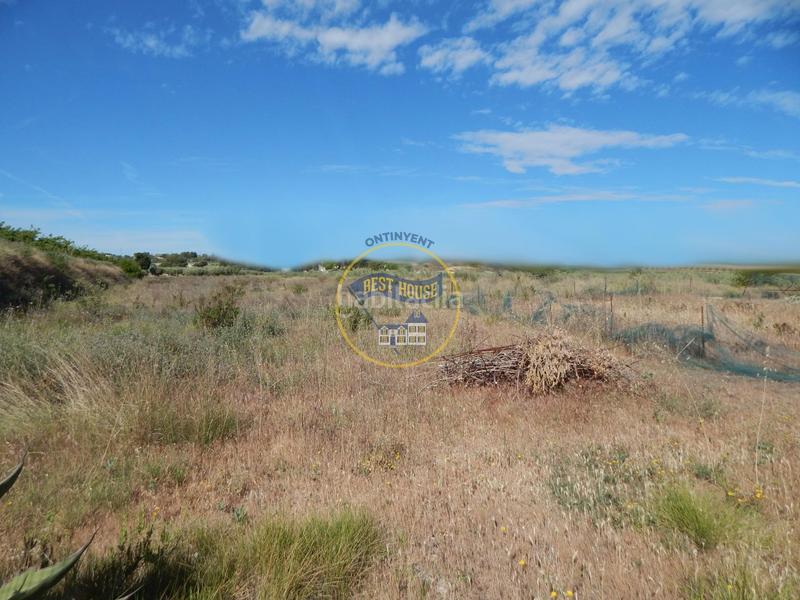 Foto fa5f30e2-cd6f-4750-b0e7-1d5c3b3d9c8b. Terreno residencial terreno con refugio en Agullent