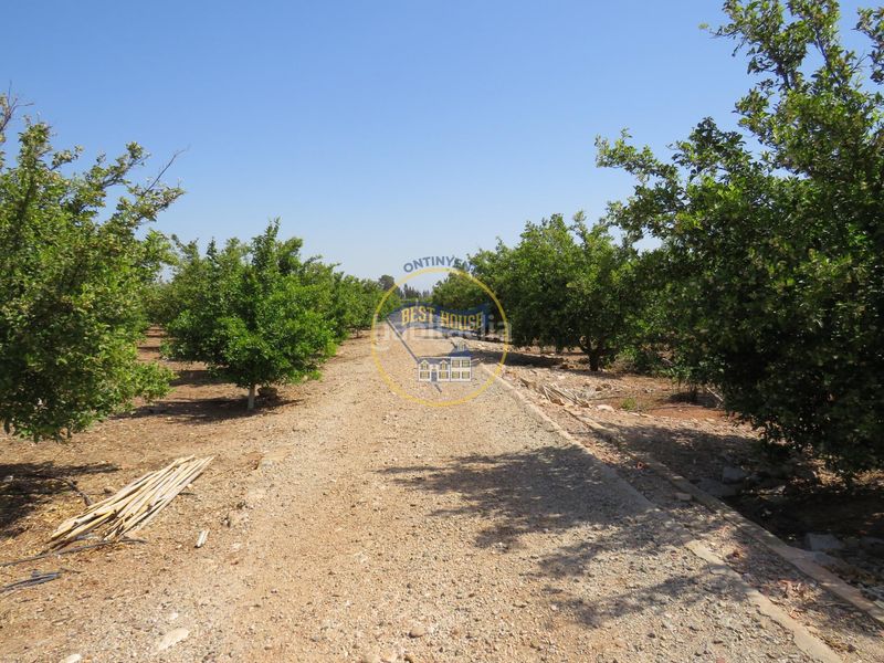 Foto 9ddb6d7d-e3ba-4da7-8b7f-4d4031c4ed32. Terreny residencial a Montesa