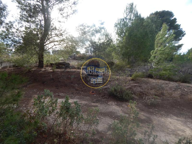 Foto 09b83a50-7c3a-446a-8d39-f5cf05590341. Residential plot in Albaida