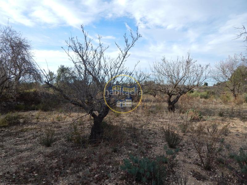 Foto 3c084d8d-a3b4-4867-928d-a6178035e82f. Residential plot in Albaida