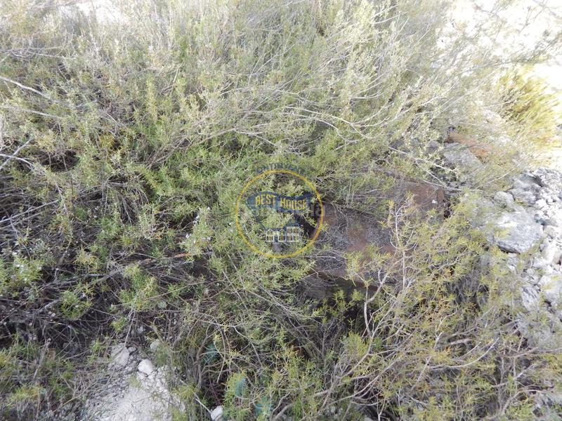 Foto 8061a8dc-21f2-49c5-b596-17409672437b. Residential plot in Albaida