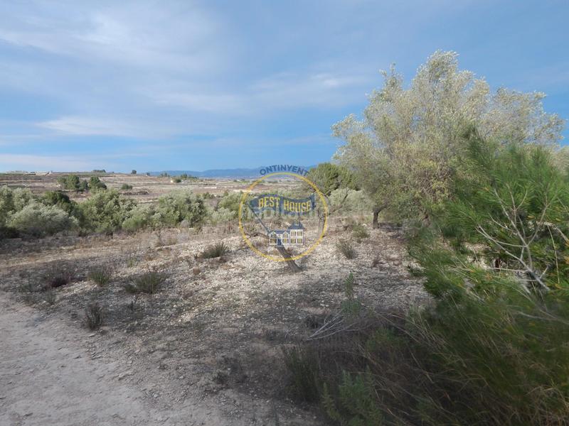 Foto 897f2130-02a3-4b07-a268-2ac1b649107f. Residential plot in Albaida