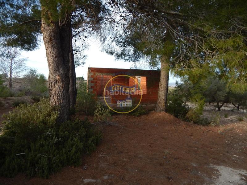 Foto 940cbd72-082b-481b-a9f5-a8a0ae924cd0. Residential plot in Albaida