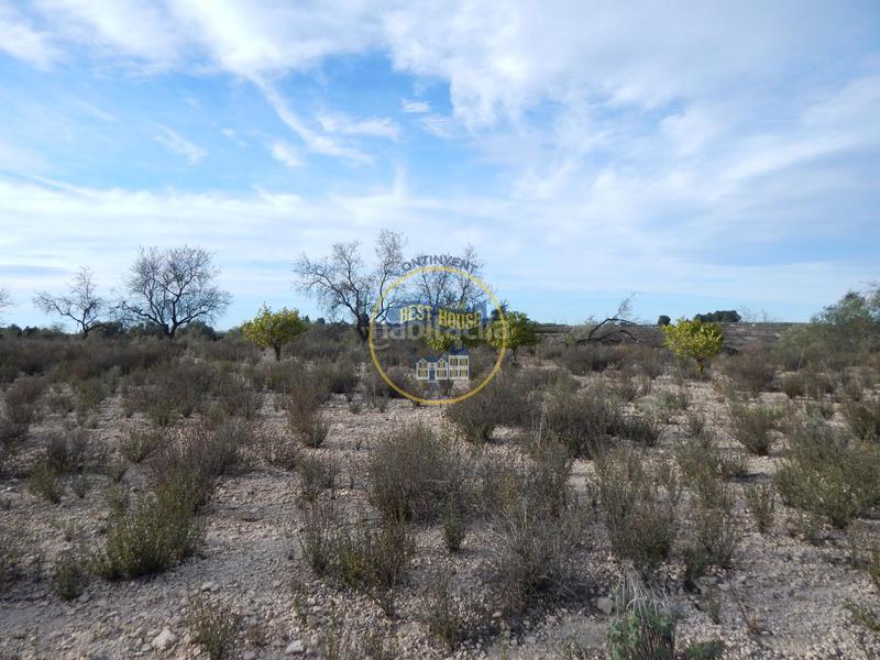 Foto 98195c32-1680-4724-a055-6b55a5f5c1af. Residential plot in Albaida