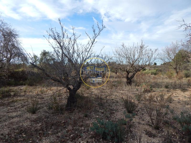 Foto b5964a7d-0f13-4bb6-a503-5c7660bb4688. Residential plot in Albaida