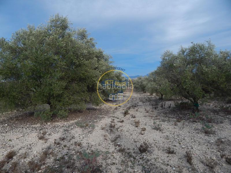 Foto be96421e-fd45-4428-99d1-333711612d47. Residential plot in Albaida