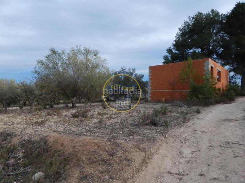 Foto e9e4ea2b-575d-4d2c-aa14-88ee5d63c29a. Residential plot in Albaida