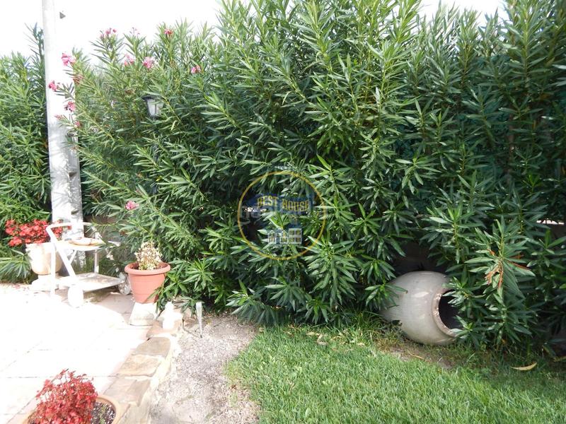 Foto 71d437fa-8122-48f4-8942-e831c2c7c31d. Xalet amb calefacció piscina a Sant Josep-Zona Hospital Ontinyent