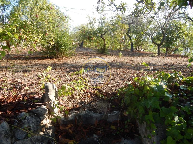 Foto 25619b1c-c2d1-4b78-a941-9d7dc76f2806. Maison dans El Pilar Ontinyent