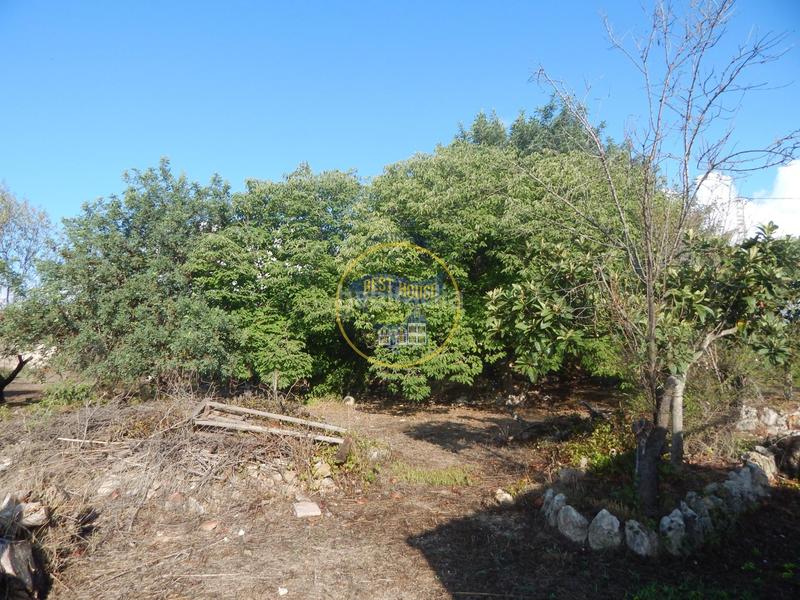 Foto 8822c22d-a0bb-4129-81c6-d2f0bf900ad6. Maison dans El Pilar Ontinyent